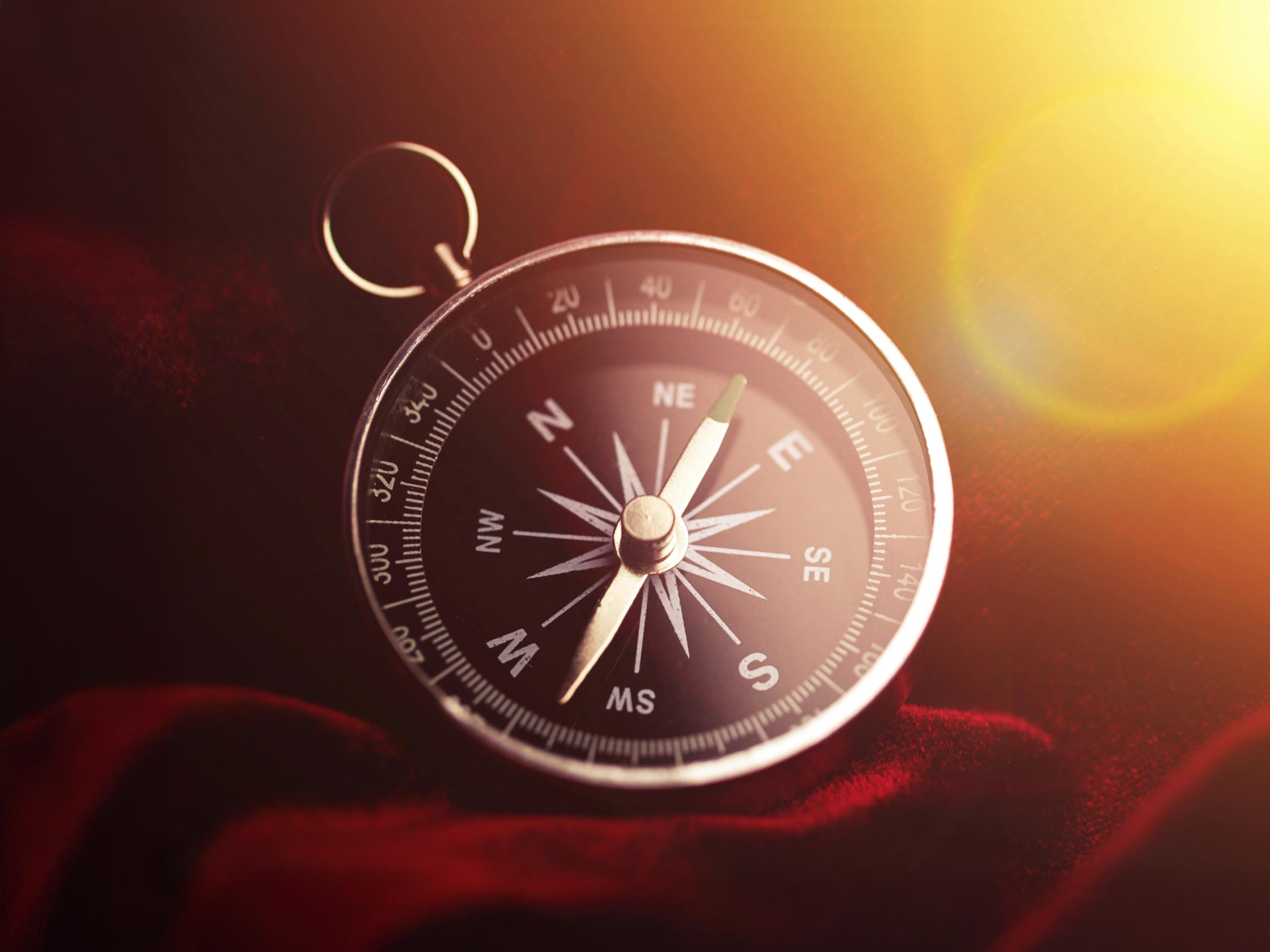 Portraitaufnahme von Jakob Fux in weißem Hemd